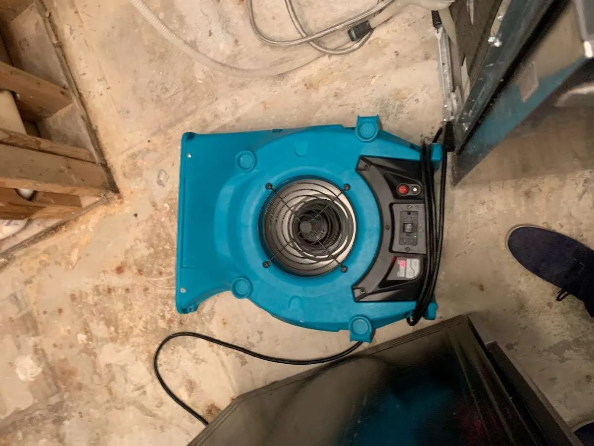 Air mover drying equipment for Mold Remediation & Removal in Sharon